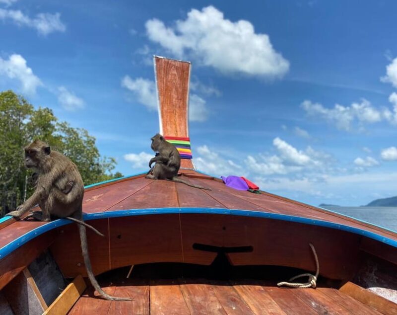 Ko Lanta: Mangrove Forest and Old Town Private Tour - A Detailed Look at the Ko Lanta Mangrove and Old Town Tour