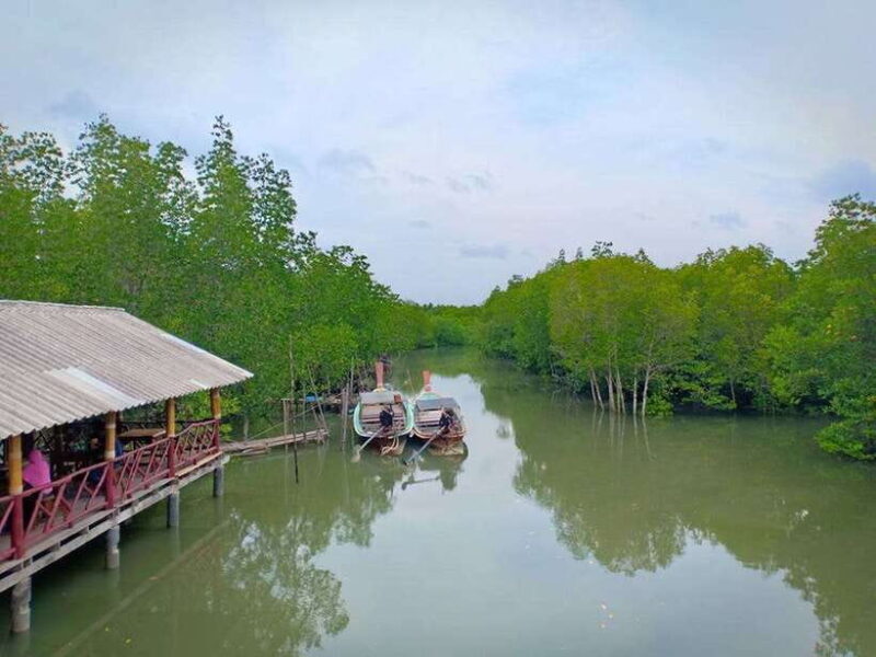 Ko Lanta: Mangrove Forest Boat Tour with Lunch or Dinner - Who This Tour Suits Best