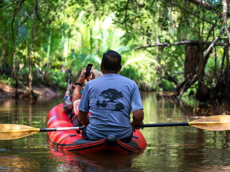 Ko Lanta: Mangrove Forest Kayak & Wildlife Adventure - Why This Tour Offers Good Value