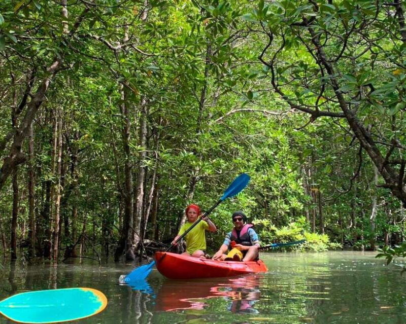 Ko Lanta: Mangrove Forest Kayak & Wildlife Adventure - FAQs