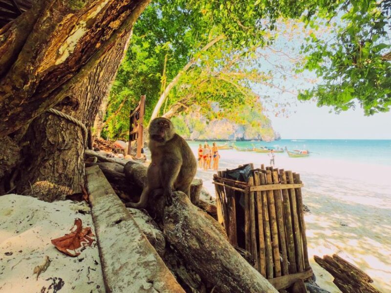 Ko Lanta: Phi Phi Day Trip by Speed Boat - FAQ