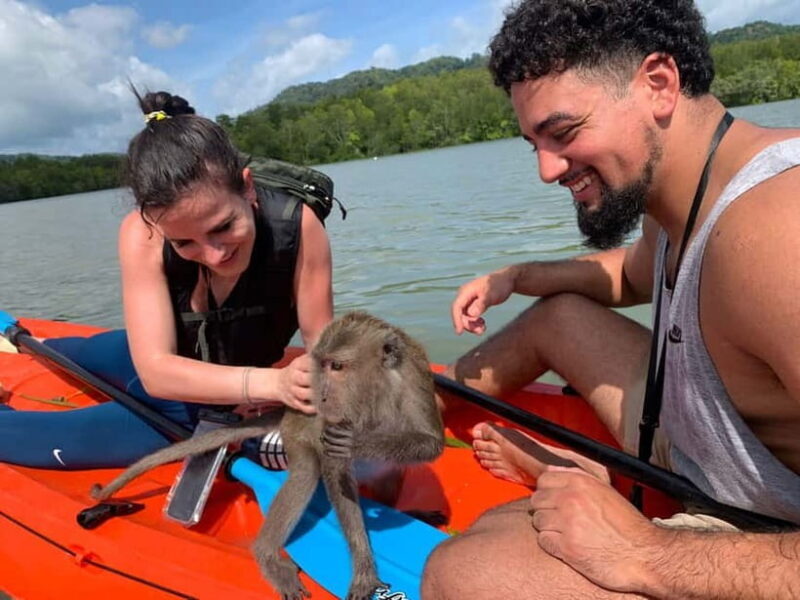 Ko Lanta: Private Exploration Mangroves, Old Town & Beaches - Who Will Love This Tour?