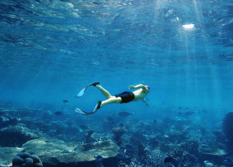 Ko Lanta: Snorkeling Adventure Tour to Koh Rok and Koh Haa - In-Depth Review of the Snorkeling Tour to Koh Rok and Koh Haa