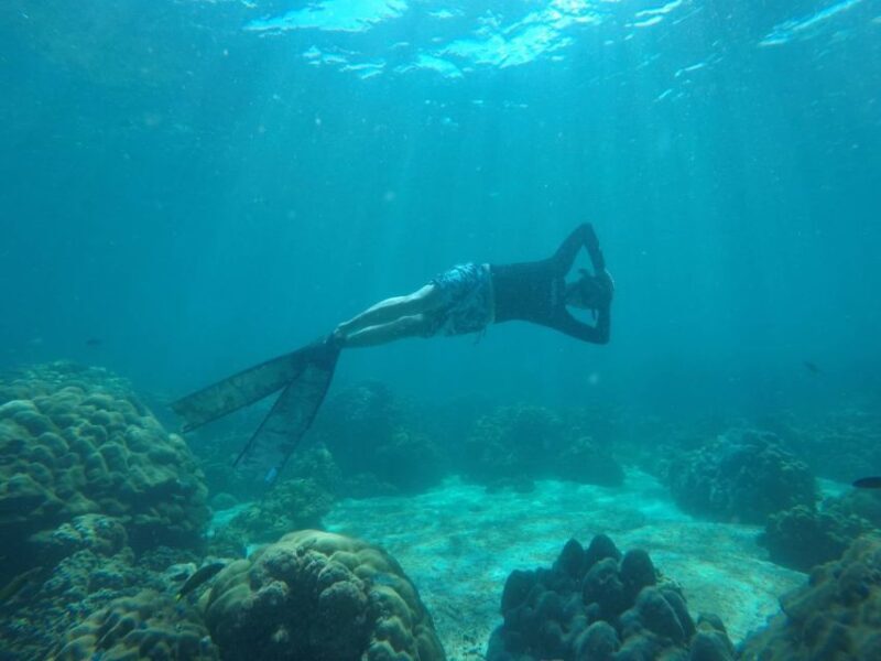 Ko Lipe: Outside Zone Snorkeling Trip by Longtail Boat - Key Points