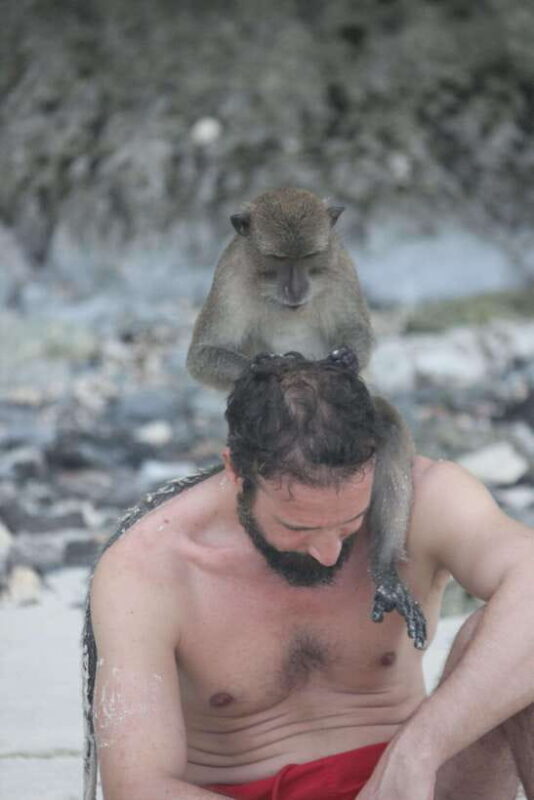 Ko Phi Phi Don: Speedboat Day Trip with Shark Snorkeling - Practical Tips for the Trip