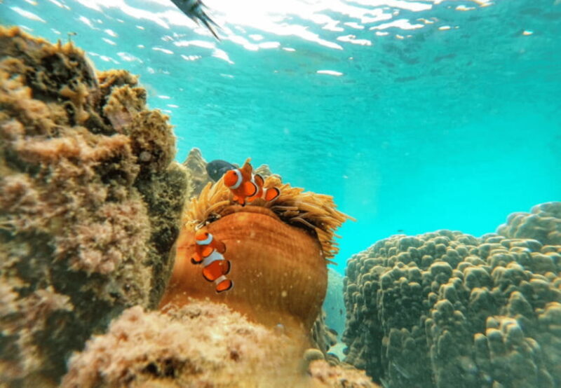 Ko Samet: 5 or 6 Islands Snorkeling Tour with Lunch Option - FAQ: Practical Questions About This Tour