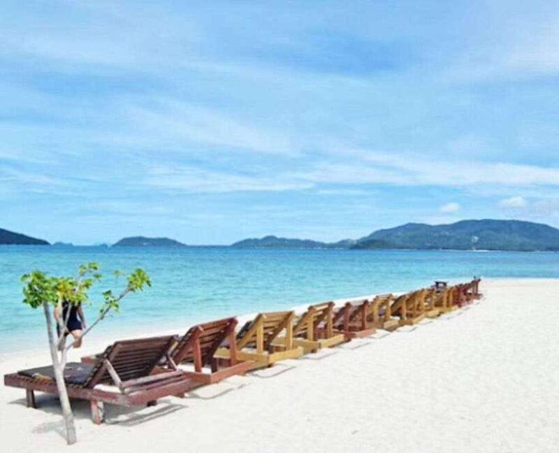 Ko Samui: Pig Island Snorkeling and Koh Tan Speedboat Tour - The Full Review: Discovering Koh Samui’s Hidden Gems and Quirky Wildlife