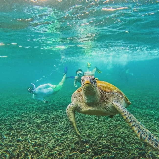 Ko Tao: Tao-Nangyuan Snorkeling Day Trip with Meals & Sunset - Lunch on Board: Fresh & Flavorful