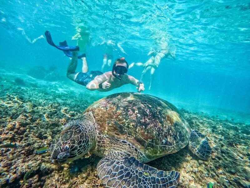 Ko Tao: Tao-Nangyuan Snorkeling Day Trip with Meals & Sunset - Exploring More Water & Land: Ao Muong Beach and Hin Wong Bay