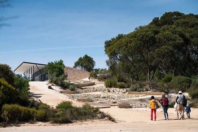 Koala Walking Tour in Kangaroo Island - A Detailed Look at the Koala Walking Tour