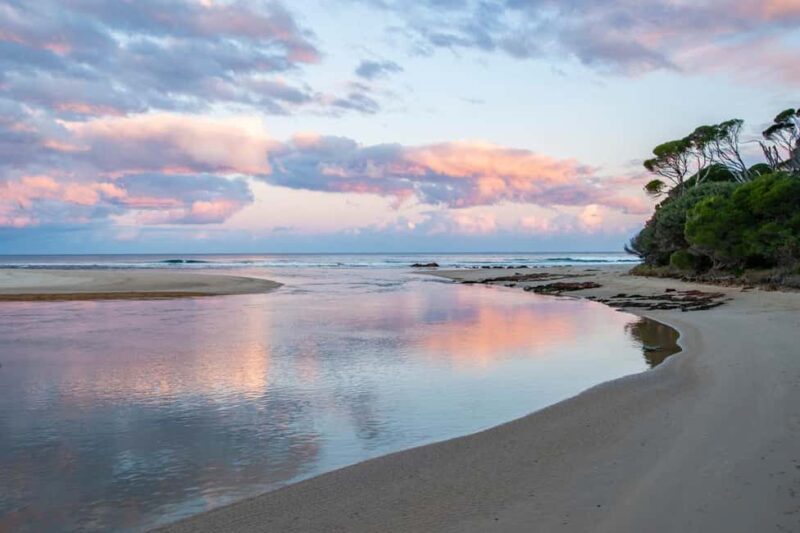 Koalas, Kangaroos and Lyrebirds - Key Points