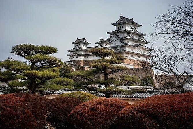 Kobe and Himeji One Day Private Tour From Osaka And Kyoto - Who Should Consider This Tour?
