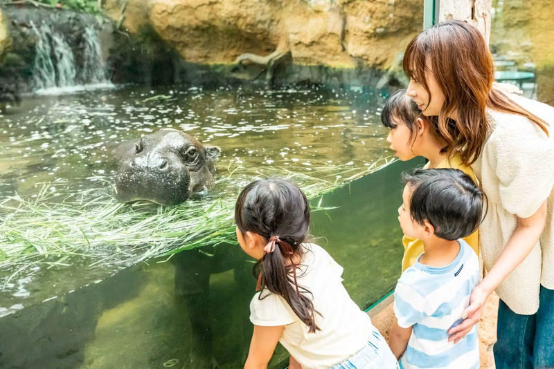Kobe Animal Kingdom Admission Ticket - Kobe Animal Kingdom at a glance