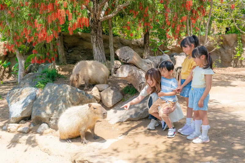 Kobe Animal Kingdom Admission Ticket - Close encounters in the greenhouse