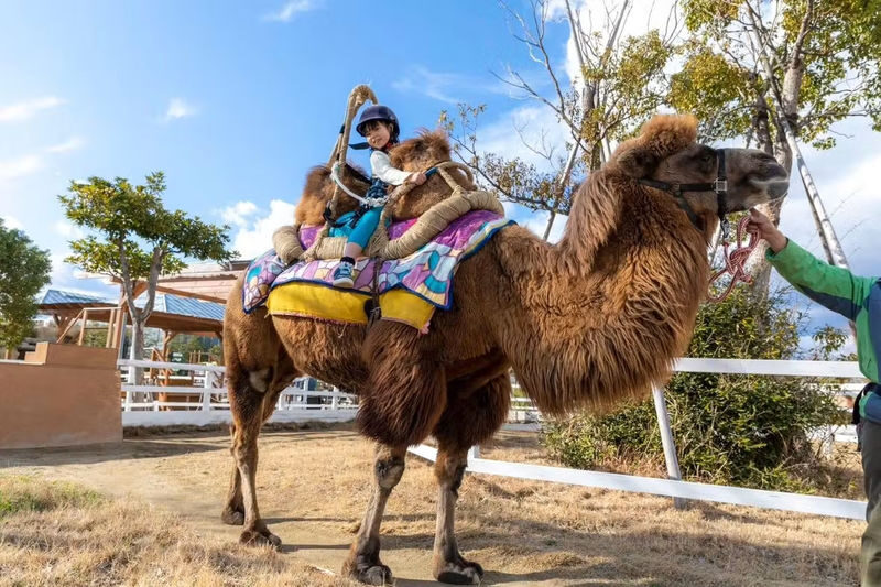 Kobe Animal Kingdom Admission Ticket - Food, breaks, and the limits to know