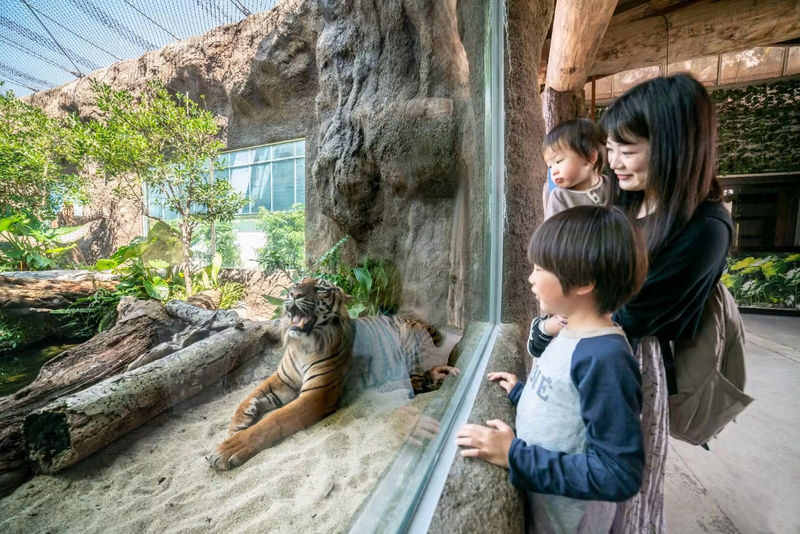 Kobe Animal Kingdom Admission Ticket - What admission costs, and whether it is good value