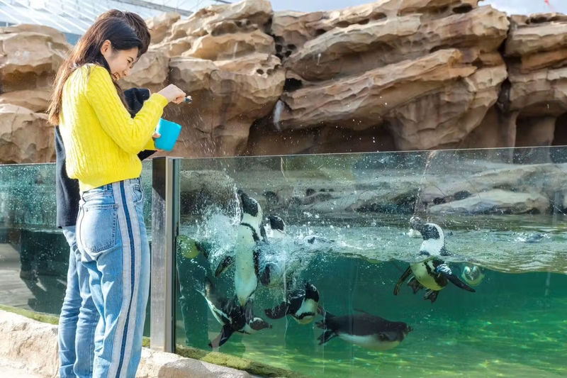 Kobe Animal Kingdom Admission Ticket - Getting there and planning your visit