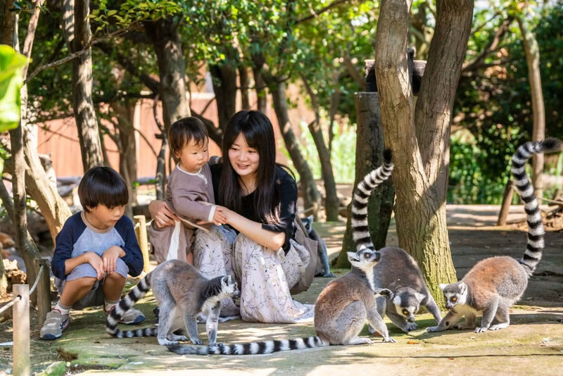 Kobe Animal Kingdom Admission Ticket - Should you book Kobe Animal Kingdom?