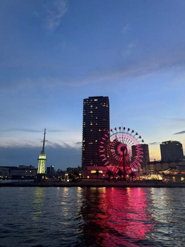 Kobe Full-Day Private Tour from Osaka with Customizable Itinerary - What the rating can and cannot tell you