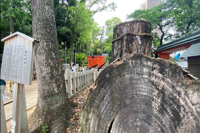 Kobe Guided Tour Including Port Area and Arima Onsen Town - Embracing Spiritual Calm at Ikuta Shrine