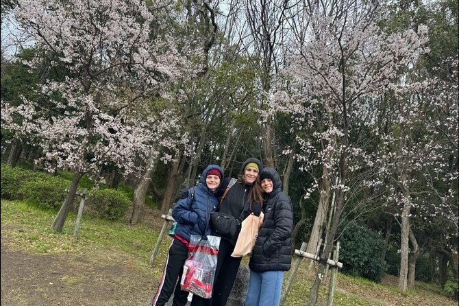 Kobe Guided Tour Including Port Area and Arima Onsen Town - The Practicalities and What to Expect