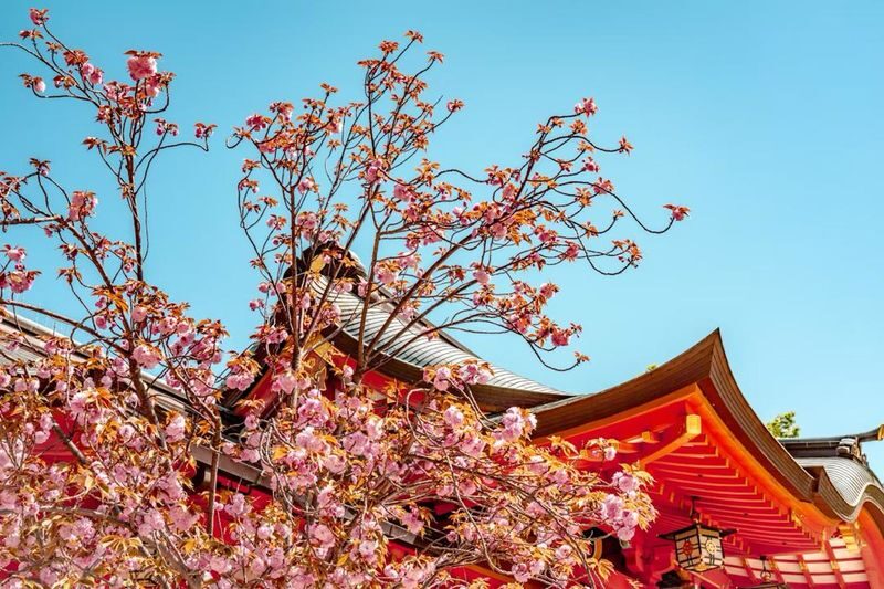 Kobe & Himeji Charter Car 1-Day Trip (from Kyoto/Osaka/Kobe) - What the private car changes