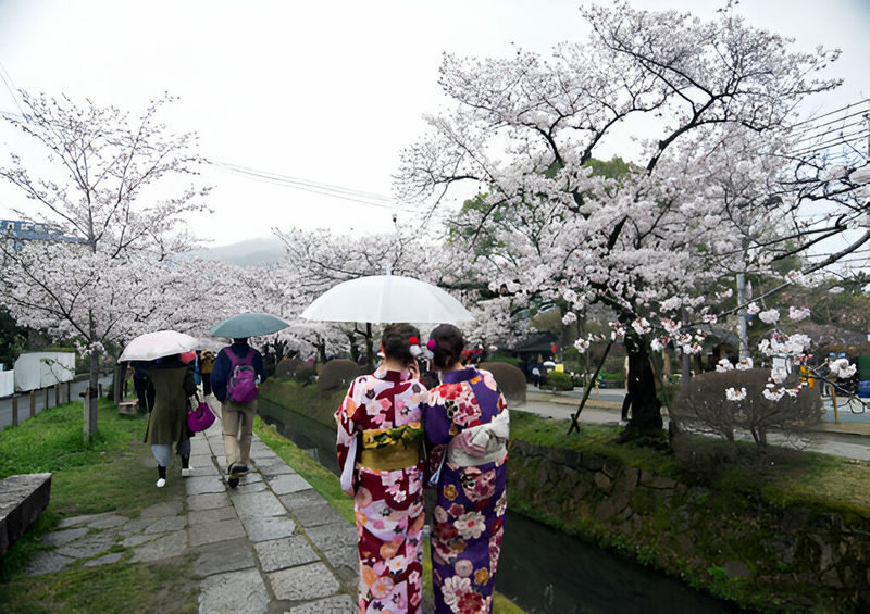 Kobe & Himeji Charter Car 1-Day Trip (from Kyoto/Osaka/Kobe) - What the price covers, and what it does not