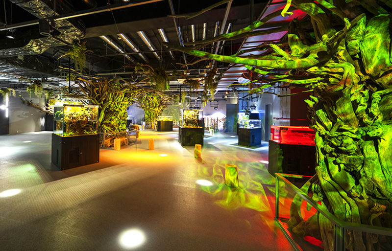 Kobe Mount Maya Night View Day Trip - Who will enjoy this day trip