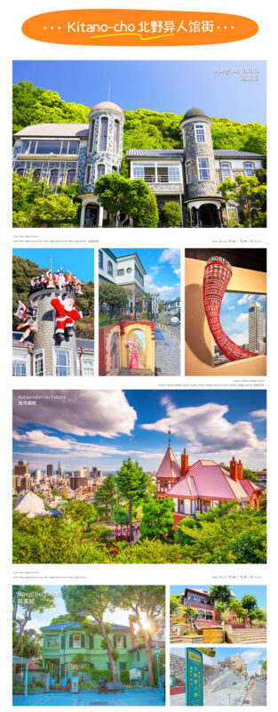 Kobe: Mt. Rokko Night View Day Trip from Osaka - What the guide and group format mean