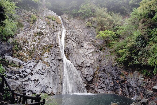 Kobe Nunobiki Falls Morning Guided Hike - Exploring Kobe’s Hidden Gem: The Nunobiki Falls Morning Guided Hike