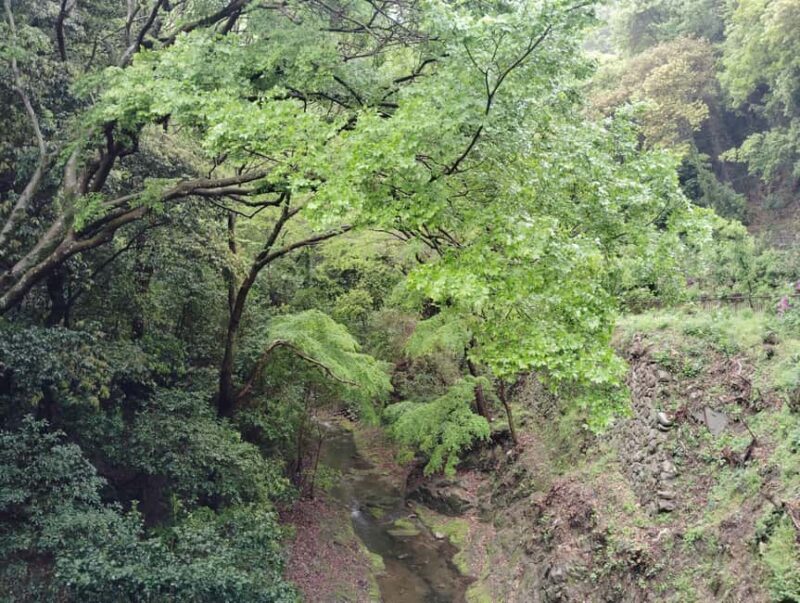 Kobe: Nunobiki Falls Morning Guided Hike - Key Points