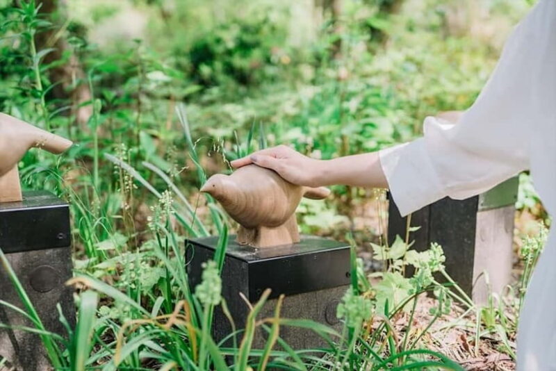 Kobe: Rokko Forest Sound Museum Admission Ticket - Key Points