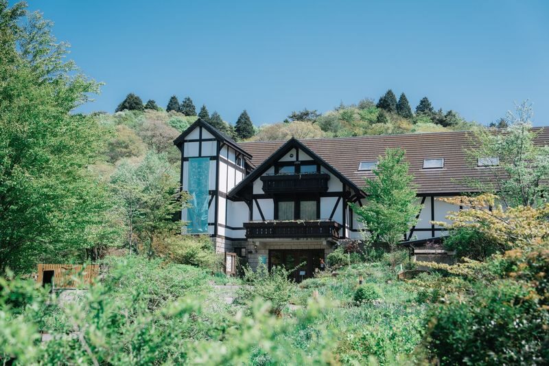 Kobe Rokko Meets Art 2026 beyond Ticket - Daylight, then the Forest of Light