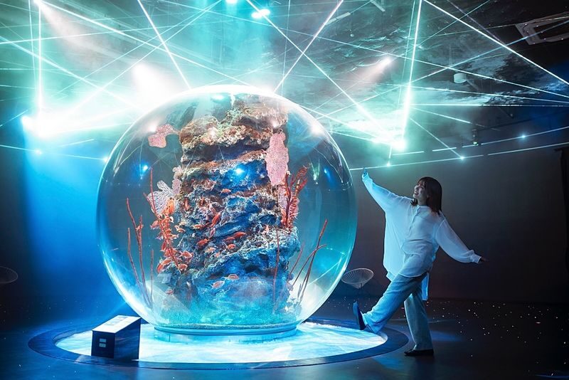 Kobe Urban Aquarium AQUARIUM ART atoa Admission Ticket - At a glance