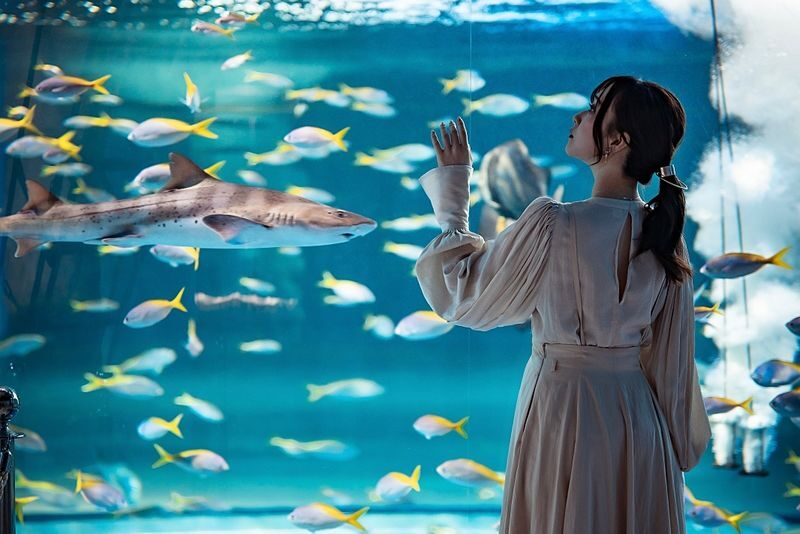 Kobe Urban Aquarium AQUARIUM ART atoa Admission Ticket - A different sort of aquarium in Kobe