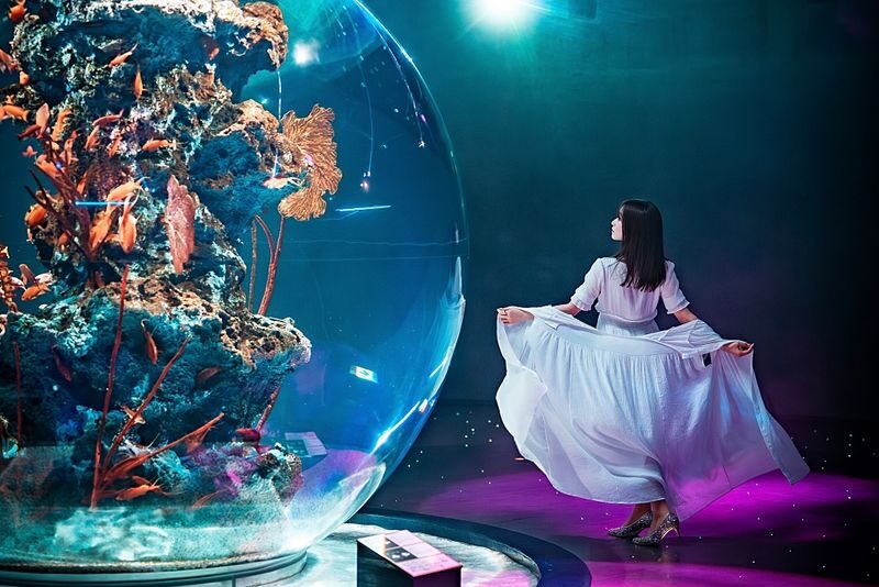 Kobe Urban Aquarium AQUARIUM ART atoa Admission Ticket - Rooftop animals and Kobe Port views