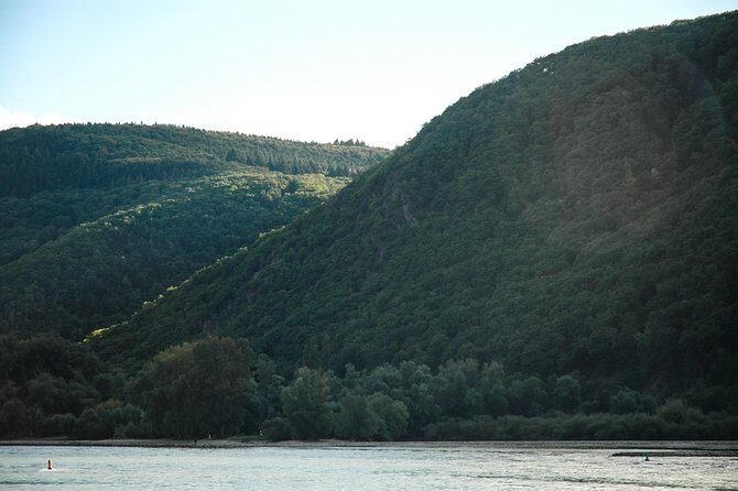 Koblenz Day Trip from Frankfurt: Ehrenbreitstein Fortress, Rhine Valley Cable Car Ride and German Dinner - Who Should Take This Tour?