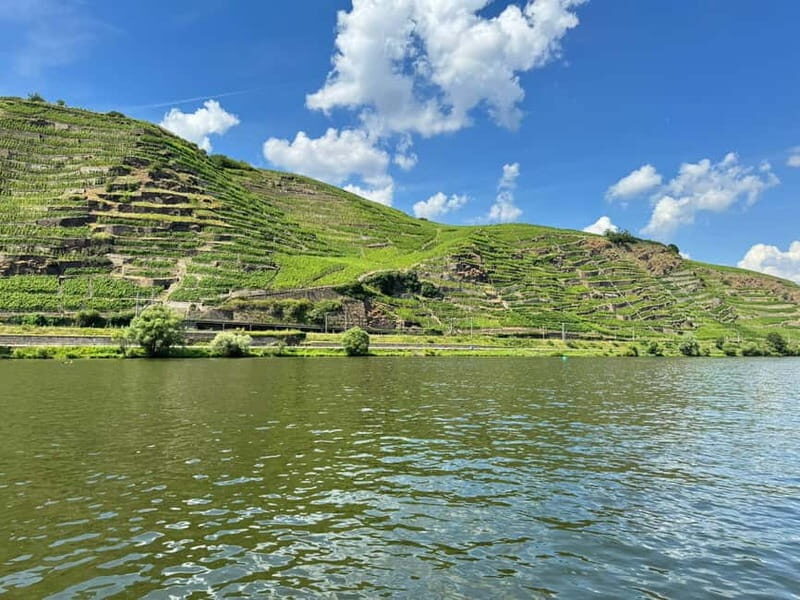 Koblenz: Private boat tour on the Moselle + wine experience - Authentic Insights from Past Travelers