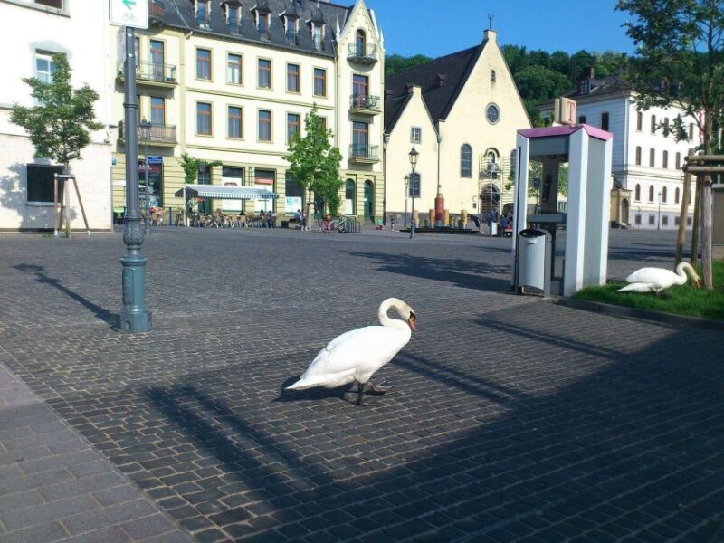 Koblenz: Private Guided Walking Tour - What Makes This Tour Valuable?