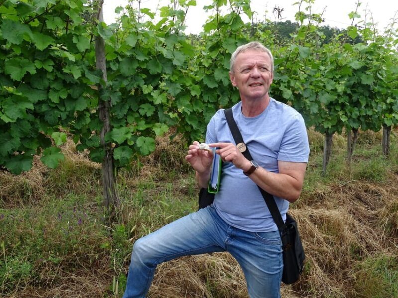 Koblenz: The Living Vineyard, Nature & Wine Enjoyment - Who Will Love This Tour?