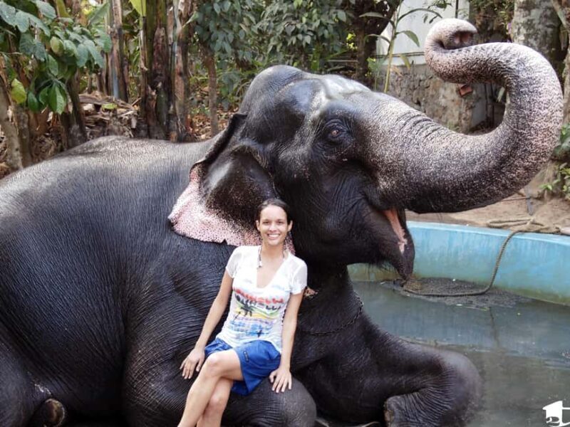 Kochi:- 03 Days Periyar Wildlife With Mararikulam Beach Tour - Practical Considerations