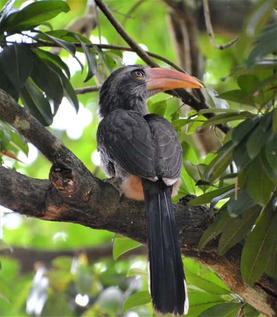 Kochi:- 03 Days Periyar Wildlife With Mararikulam Beach Tour - Final Thoughts