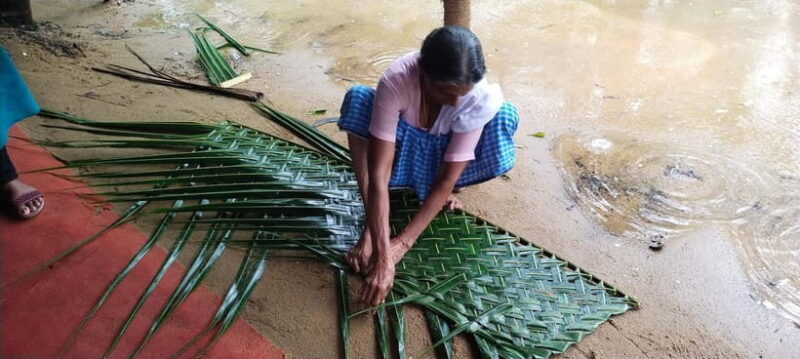 Kochi: Backwater Exploration in Village: Free Pickup & Drop - Conclusions