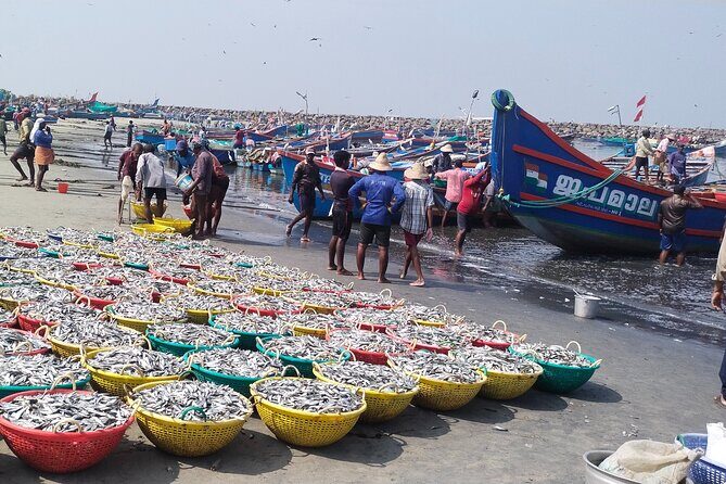 Kochi Fishing Village Excursion. - Key Points