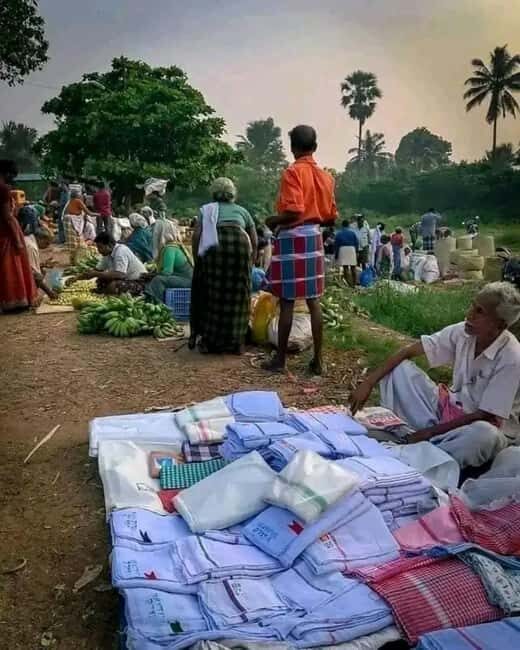 Kochi: Highlights Ways of Life & Attitudes Tour - Key Points