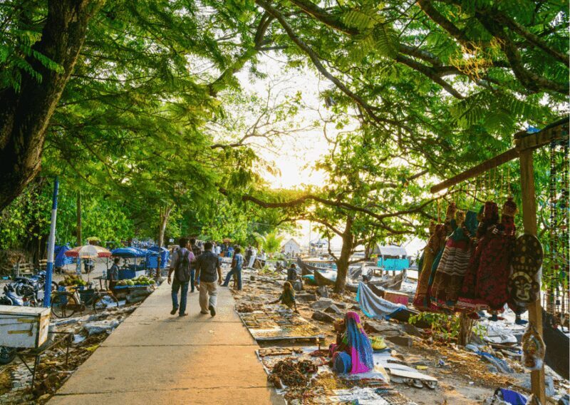 Kochi Insta Photo Walk with Tuk Tuk Ride Experience - Authentic Stories and Local Insights