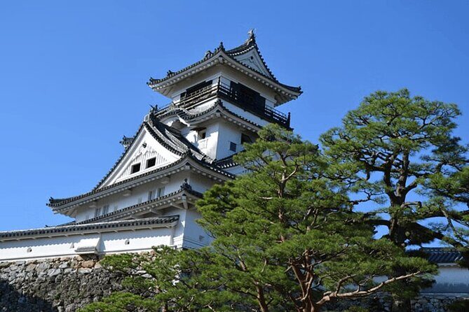 Kochi Private Vehicle Service with Restaurant Reservation - Possible Drawbacks and Considerations