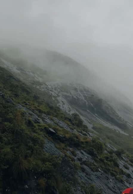 Kochi to Munnar: Eravikulam, Tea Estate and Waterfalls - Kochi to Munnar: Eravikulam, Tea Estate and Waterfalls – A Full-Day Journey into Keralas Natural Treasures