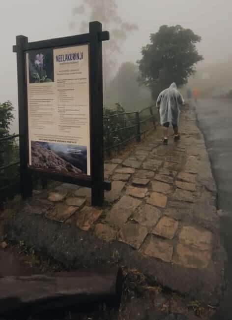 Kochi to Munnar: Eravikulam, Tea Estate and Waterfalls - Key Points