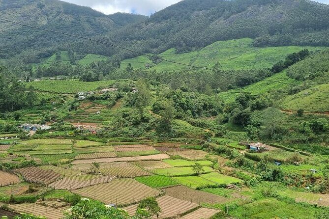 Kochi to Munnar Private Full Day Guided Tour With Hotel Pickup - Key Points